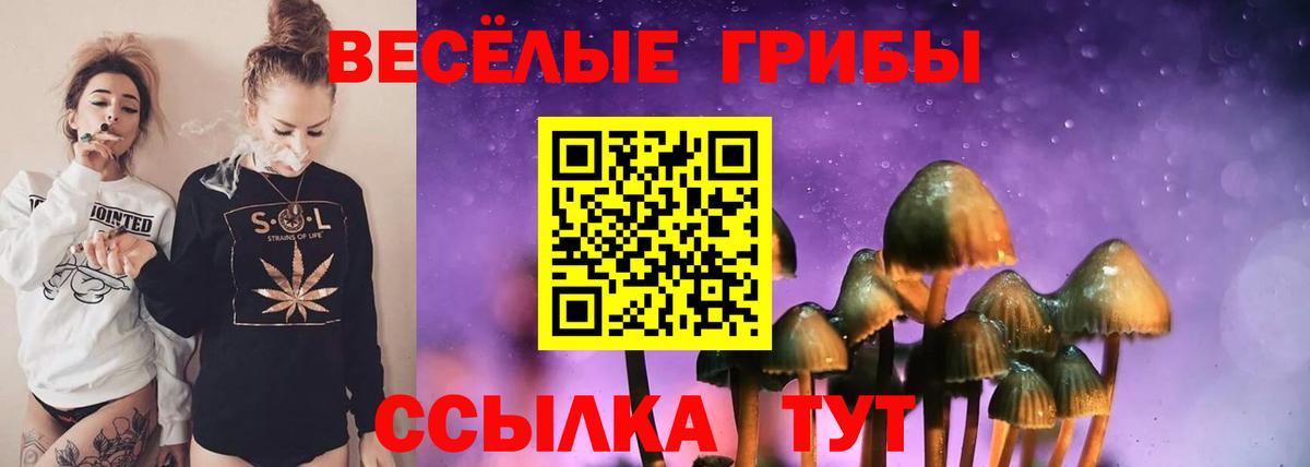 Галлюциногенные грибы GOLDEN TEACHER  где можно купить наркотик  Вход с VPN  Кстово  Псилоцибиновые грибы MAGIC MUSHROOMS 